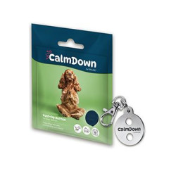 CalmDown Dog Tag Kit kovový prívesok+1gombík KRUUSE - PES