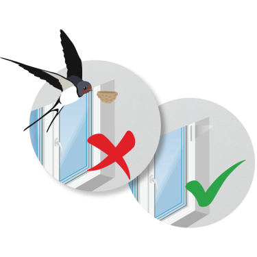 Prevencia hniezdenia vtákov na okne 