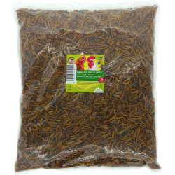 Maškrta pre sliepky 1 kg