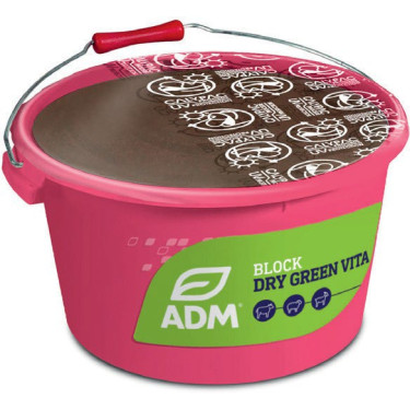 MINERÁLNY MELASOVANÝ LIZ BLOCK DRY GREEN VITA - Príprava na pôrod a suchostojné obdobie