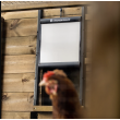 Bezpečnostné dvierka s poistkou ku kurníku CHICKEN GUARD DOOR 25x30