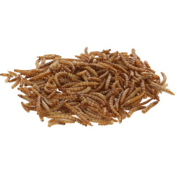 Sušené larvy múčneho červa, 900 g, Kerbl