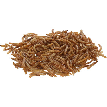 Sušené larvy múčneho červa, 900 g, Kerbl