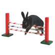 Agility skok pre hlodavce