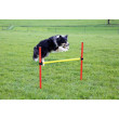 Kerbl agility prekážky pre psy, sada