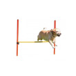 Kerbl agility prekážky pre psy, sada