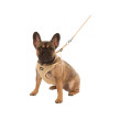 Postroj pre šteňatá a malé psy Puppy