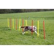 Kerbl agility prekážky pre psy, sada